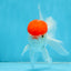 A Grade Little Tomato Cap Red Cap Oranda Male 4-4.5 inches #062025OR_18