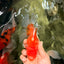 A Grade Red White Oranda Male 5.5-6 inches #070626OR_07