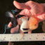 A Grade Gorgeous Lemonhead Oranda Male 5 inches #110824OR_17