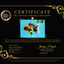 FLUFFY A Grade Calico Oranda Male 7 inches #041026OR_04