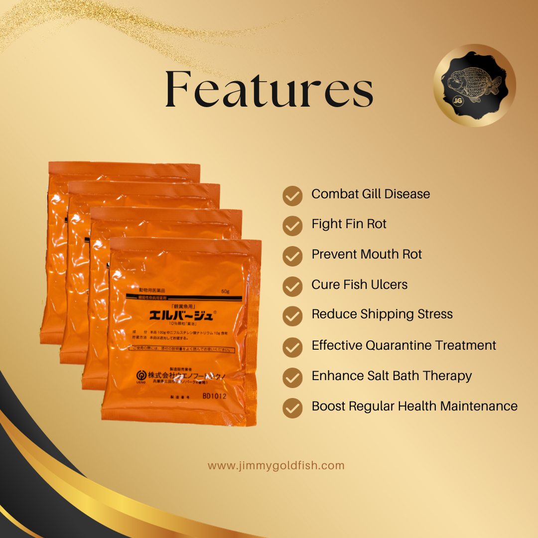 Columnaris Infection In Aquarium Fish: How To Identify & Treat - Foto 8