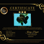 JUMBO AAA Grade Godzilla Black Oranda Male 6-6.5 inches #050826OR_01