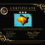 AAA Grade Apache Oranda Male 5.5-6 inches #041726OR_11
