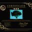 CHUBBY AAA Grade Black Blue Ranchu Female 5.5 inches #100926RC_31