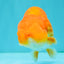 A Grade Red LionKing 4.5 inches #082126LC_19