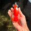 BIG WEN Red White Lionchu Female 4.5 inches #051526LC_16