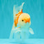 AAA Grade Red White Oranda Male 5.5 inches #062626OR_21