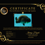 A Grade Blue Ranchu Male 5 inches #072426RC_36