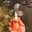 AAA Grade Marble Oranda Male 6-6.5 inches #071026OR_37