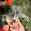 Calico Oranda Male 6.5 inches #072426OR_22
