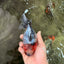A Grade Kirin Oranda Female 5.5 inches #071726OR_16
