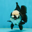 A Grade Jade Head Pompom Panda Button Eyes Yuanbao Male 4 inches #050925YB_29