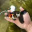 A Grade Tricolor Oranda Male 4.5 inches #050225OR_08