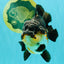 BATMAN AAA Grade Tricolor Yuanbao Male 4.5-5 inches #061926YB_33