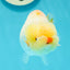 🍋 Baby Lipstick Lemonhead Lionchu Female 4-4.5 inches #0412LC_05