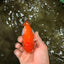Red White LionChu Female 4.5 inches #070326LC_35