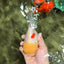 BEAUTY A Grade Red White Oranda Female 5.5 inches #040326OR_06