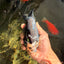 Ink Chinese Ranchu Male 5.5-6 inches #050826RC_13