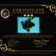 AAA Grade Jumbo Bloodline Kirin Oranda Male 7.5 inches #061926OR_05