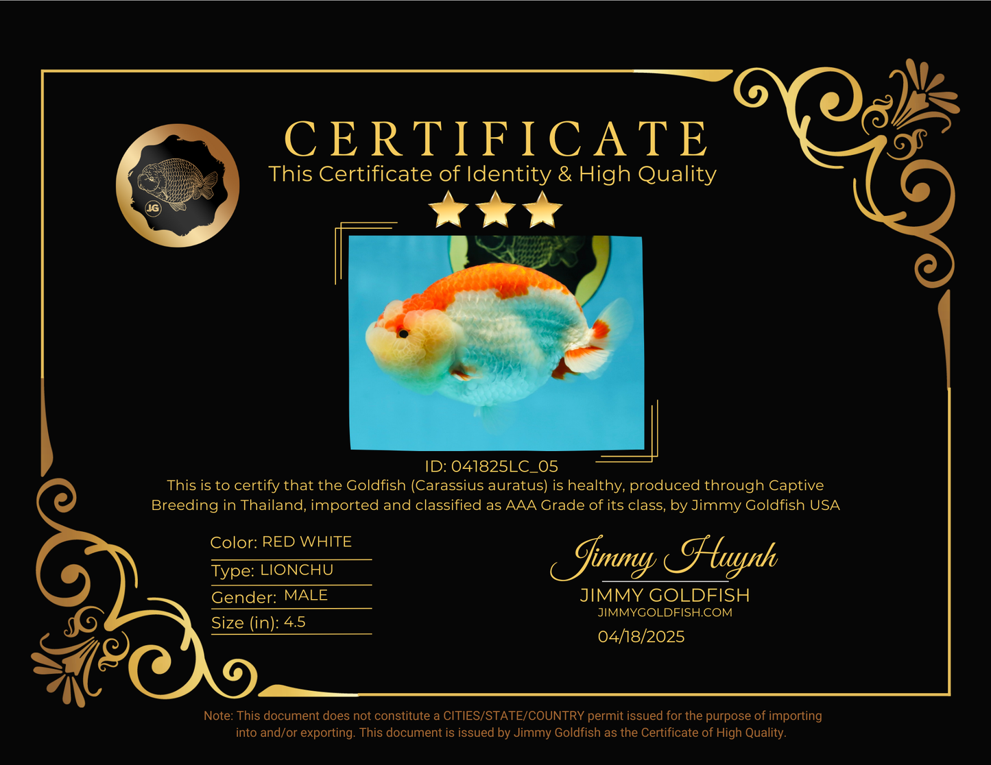 CHEEKY AAA Grade Super Cute Red White LionKing 4.5 inches #041825LC_05