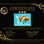 CHONKY AAA Grade Special Marble Oranda Male 6.5 inches #051526OR_01