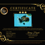 CHUBBY AAA Grade Godzilla Kirin Oranda Male 6.5 inches #050826OR_02
