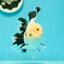 A Grade Unique Mark Panda Oranda Male 6 inches #102524OR_11