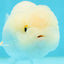 😙 Baby Big Wen Snow Ball Lionchu Female 3-3.5 inches #0301LC_03