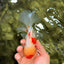 SUPER CUTE Kohaku Oranda Female 5.5 inches #090426OR_16