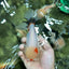 Tricolor Pompom Red Nose Oranda Female 5.5 inches #111524OR_17