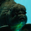 A Grade Broadtail Black Oranda Male 6.5-7 inches #101626OR_20