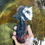 AAA Grade Dark Tiger Godzilla Oranda Female 6.5-7 inches #060625OR_13