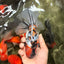 CHUNKY AAA Grade Calico Oranda Male 6-6.5 inches #070626OR_17