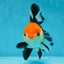 A Grade Tricolor Oranda Female 4.5-5 inches #050225OR_04