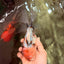 A Grade Sakura Oranda Male 6.5 inches #071726OR_24