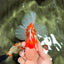 CHICKIE AAA Grade Red White Oranda Male 6 inches #072426OR_06