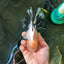 A Grade Unique Mark Panda Oranda Male 6 inches #102524OR_11