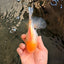 A Grade White Oranda Male 6 inches #061926OR_26