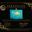 A Grade Marble Oranda Male 5.5-6 inches #062626OR_31