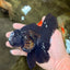 A Grade Black Oranda Male 5 inches #102326OR_13