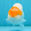 Classic Egg-shape Red Head Lionchu Male 4 inches #122724LC_08