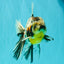 AAA Grade Calico Oranda Male 6 inches #070626OR_11