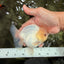 AAA Grade White Yuanbao Male 4.5-5 inches #072426YB_28