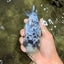 White Tiger Ranchu Female 5-5.5 inches #102326RC_04