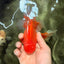 AAA Grade Red White Oranda Male 5-5.5 inches #073126OR_08