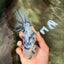 Kirin Oranda Female 6 inches #071726OR_19