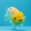 Lemonhead Lionchu Male 4-4.5 inches #0927LC_10