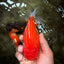 CHUBBY AAA Grade Red White Yuanbao Male 5.5 inches #090426YB_08