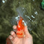 Red White Oranda Male 5.5 inches #081426OR_07