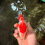 AAA Grade Red White Ryukin Female 4.5 inches #031326RK_31